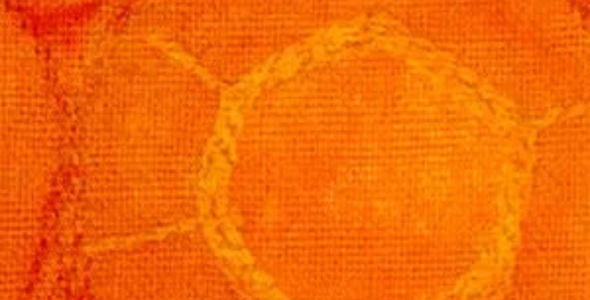 A Feast for the Senses: Morley Grainger Exhibition 'Well Preserved'
