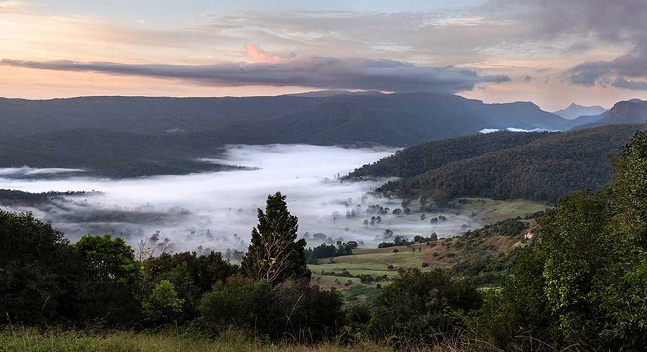 About_us_National_Trust_920x500_Desktop.jpg